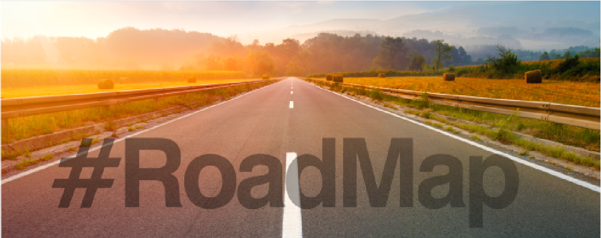 Leia mais sobre o artigo Road Map Dashboard