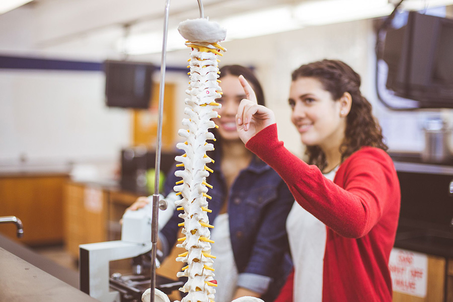 Leia mais sobre o artigo Peer Instruction: como adotar esse método em sala de aula?