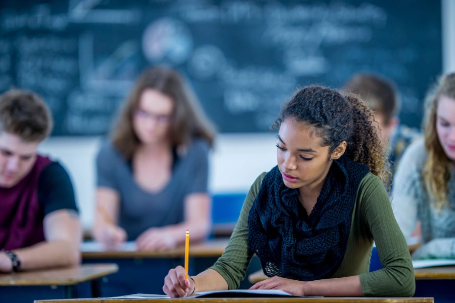 Leia mais sobre o artigo Novo Ensino Médio: como se preparar?